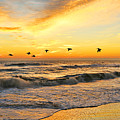 Pelicans at Sunrise  signed 4651b 2 