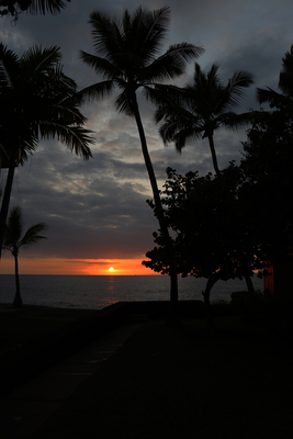  Hawaii Trip 2025